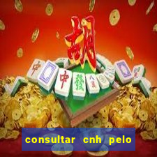 consultar cnh pelo cpf sp